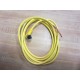 Turck WKB3T-2 Microfast Cordset WKB3T2