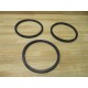 Miller Fluid Power 05-P5025-600 Seal Kit 05P50525600