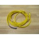 Pepperl + Fuchs V31-GM-YE2M-PVC Cordset V31GMYE2MPVC - New No Box