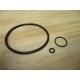 Steris Asco P764317-688 Valve Repair Kit P764317688