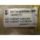 Lumberg Automation RST RKWT 4-6022M Double-Ended Cordset RST RKWT 4-S7982M - New No Box