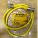 Turck U2282-01 Minifast Molded Cordset RSM RKM 50-1M