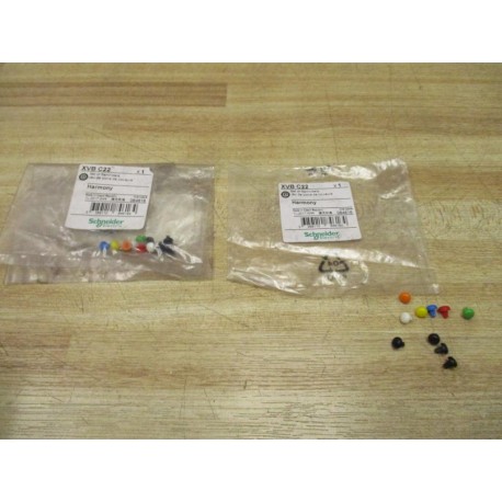 Schneider Electric XVB C22 Harmony Indicating Bank Markers XVBC22 (Pack of 2)