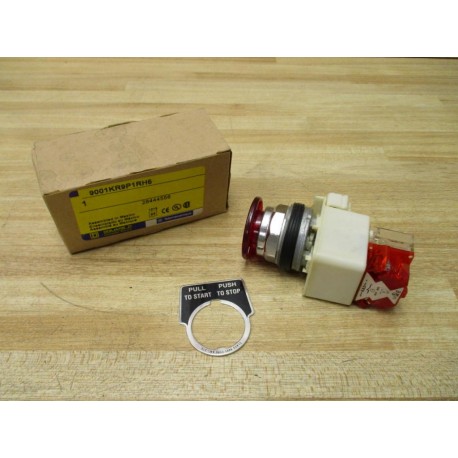 Square D 9001KR9P1RH6 Illuminated Push Button