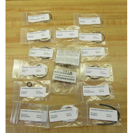 Maxpro Technologies 124716 Gas Section Kit 16.02.32.02 Partial Kit