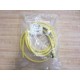 TPC Wire And Cable 89512 Cordset 5-Pole Female