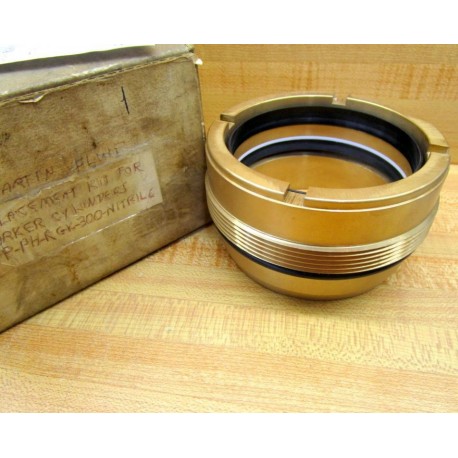 Martin Fluid Power MFP-PH-RGK-300 Cylinder Repair Kit MFPPHRGK300