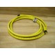 Remke 704K0066D Molded Cordset