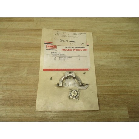 Fisher Control R4190X00F22 Flexure Pivot Retrofit Repair Kit