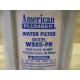 American Plumber W385-PR Water Filter W385PR (Pack of 2) - New No Box
