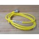 Turck RSM 20-2M Minifast Molded Cordset U2110