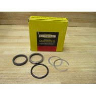 Chesterton 46807 Seal Kit