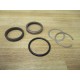 Chesterton 46807 Seal Kit