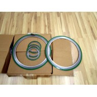 Lamons CG 6 150 316 Gasket Kit SCSIB200BSI 20 150 6 150