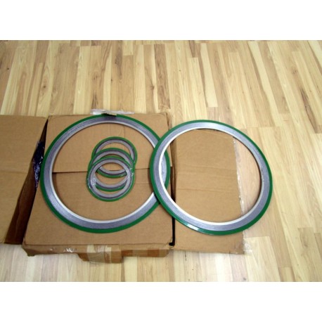 Lamons CG 6 150 316 Gasket Kit SCSIB200BSI 20 150 6 150