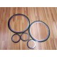 Lamons CG 6 150 316 Gasket Kit SCSIB200BSI 20 150 6 150