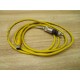 Turck P-7K-SC-261061-1-MSHA Cable 4' 6 (Pack of 2) - Used