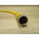 Turck P-7K-SC-261061-1-MSHA Cable 4' 6 (Pack of 2) - Used