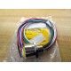 Turck RFK 96-0.3M14.5NPT Mini-Fast Cable U0924-85