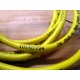 Banner E54661-02 Cordset 10150734 - Used