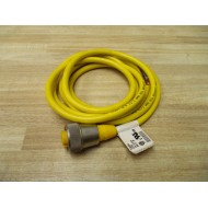 Turck RKM 3111-2M Mini Fast Molded Cordset U2799 - New No Box