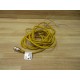 Turck RK 4.43T-4 Euro Fast Molded Cordset U2177-20 13' Cable - Used