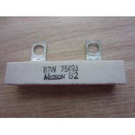 Micron R7W Resistor (Pack of 2)