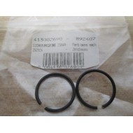 413002690-892407 Lock Washer (Pack of 2)