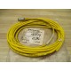 Turck KB3T-6 Microfast Single Ended Cordset U2413-1