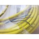 Turck PKG 3Z-6 PKG3Z6 Cable  U0066-99