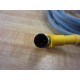 Turck RKC 4.4T-4-WSC 4.4TS622 Cable RKC44T4WSC44TS622 - New No Box