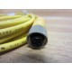 Balluff BKS-S21-10 Cable BKSS2110 - New No Box