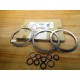 Spirax Sarco 0660085 Gasket Set 1" HC FT 14-HC