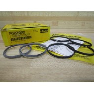 Parker PR202H0001 Bunan Piston Ring Kit (Pack of 2)