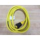 Turck RK-40-2M RK402M  Cable U2042 - New No Box