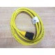 Turck RK-40-2M RK402M  Cable U2042 - New No Box