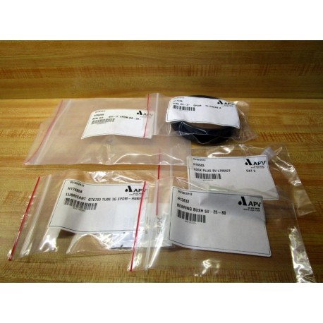 APV H206266 Seal Kit SV1-3" EPDM 58-34