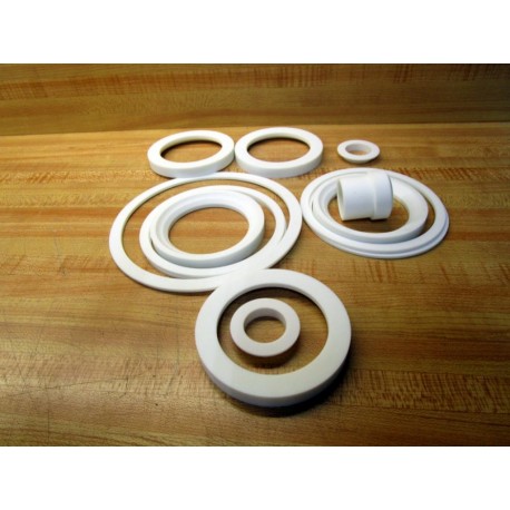 PBM MP (10-20) (30-40) RTFE 3" Valve Repair Kit MP1020RTFE3