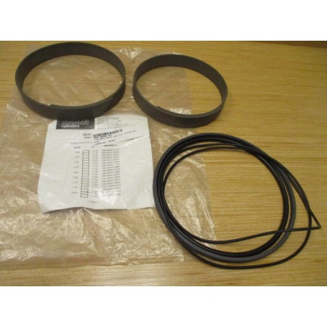 Hanna 706-00047-087H Piston Packing Kit 70600047087H