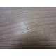 C100101 C100 101 Ceramic Capacitor 15PF - New No Box