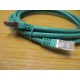 Black Box EVNSL0272GN-0010 Category 6 Patch Cable EVNSL0272GN0010 (Pack of 2)