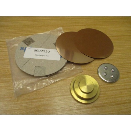 Spirax Sarco 6902220 Diaphragm Set