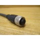 Druck Transmitter-KOMPL 4100121804 Cable