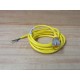 Turck RSM 30-2M Mini Fast Molded Cordset U2075-2 (Pack of 3) - New No Box