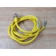 Turck RSM 30-2M Mini Fast Molded Cordset U2075-2 (Pack of 3) - New No Box