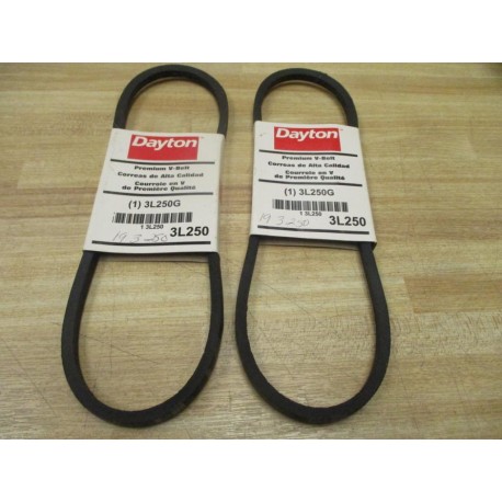 Dayton 3L250G Premium V-Belt 3L250 (Pack of 2)