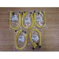 Brad Harrison 884A31K03M003 Y Splitter Cable Assembly (Pack of 5)