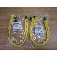 Brad Harrison 884A31K03M003 Y Splitter Cable Assembly (Pack of 2)