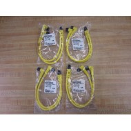 Brad Harrison 884A31K03M003 Y Splitter Cable Assembly (Pack of 4)