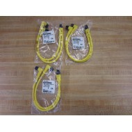 Brad Harrison 884A31K03M003 Y Splitter Cable Assembly (Pack of 3)